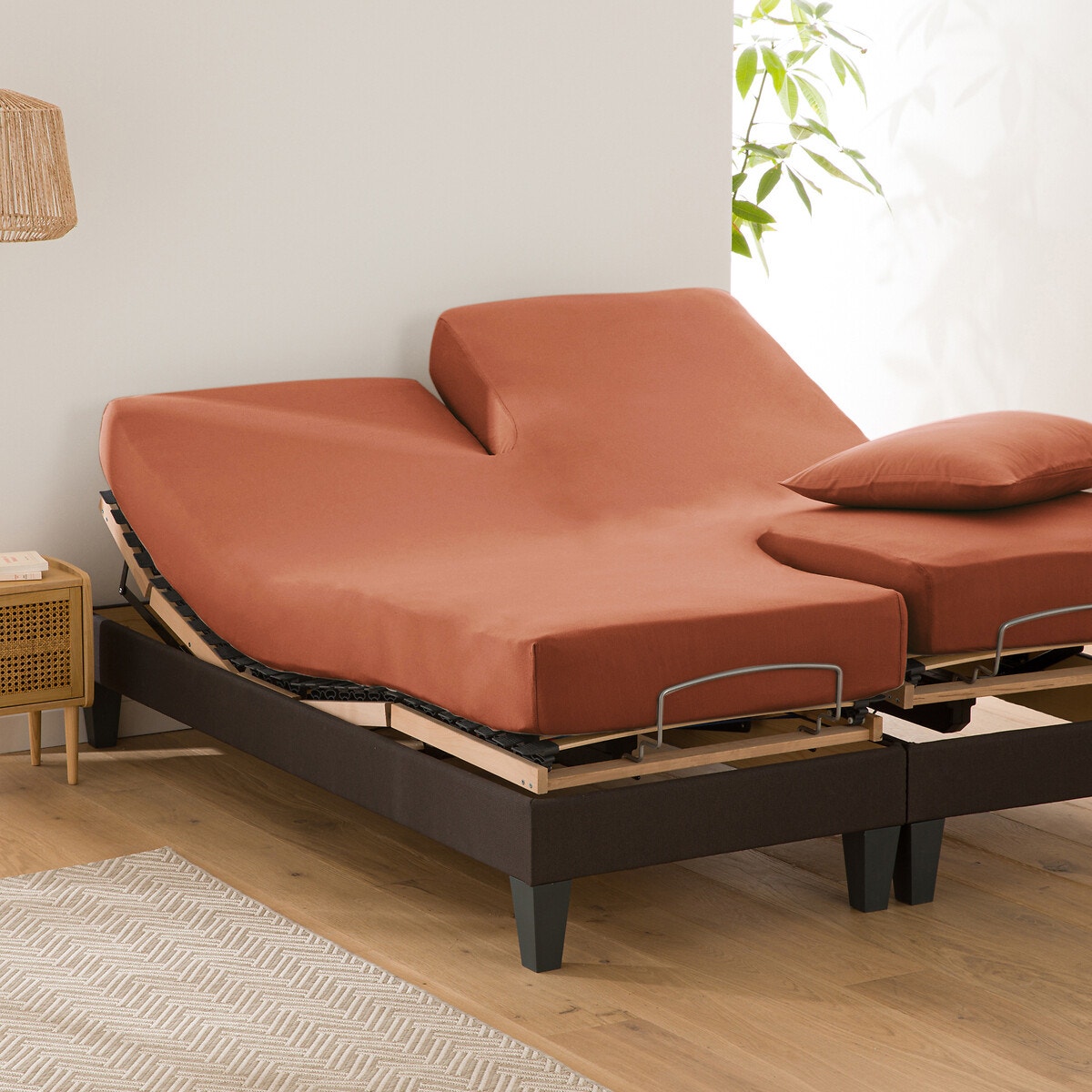 La Redoute Interieurs Σεντόνι με λάστιχο από ζέρσεϊ για διαιρούμενα κρεβάτια 140x190 cm