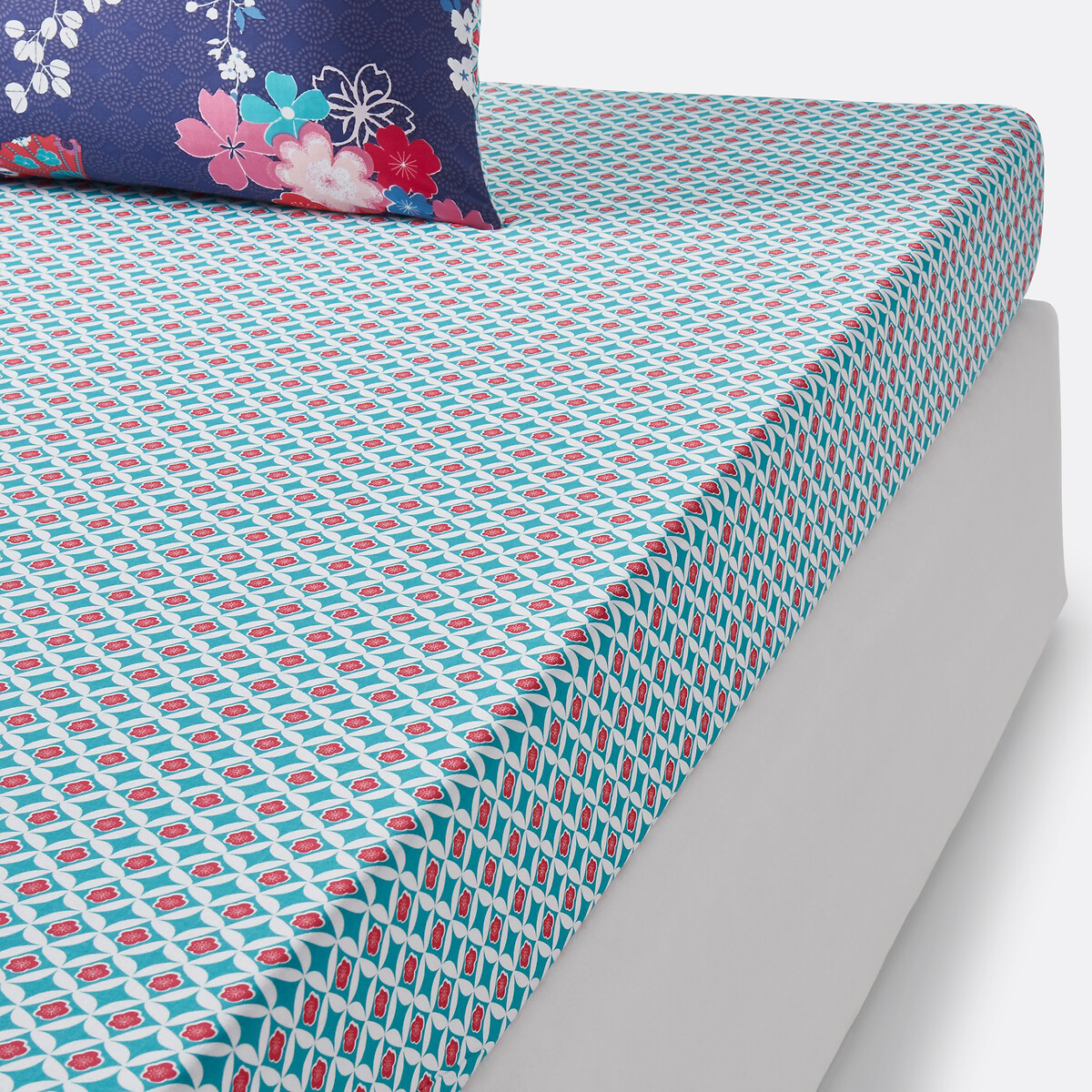 La Redoute Interieurs Βαμβακερό σεντόνι με λάστιχο 90x190 cm