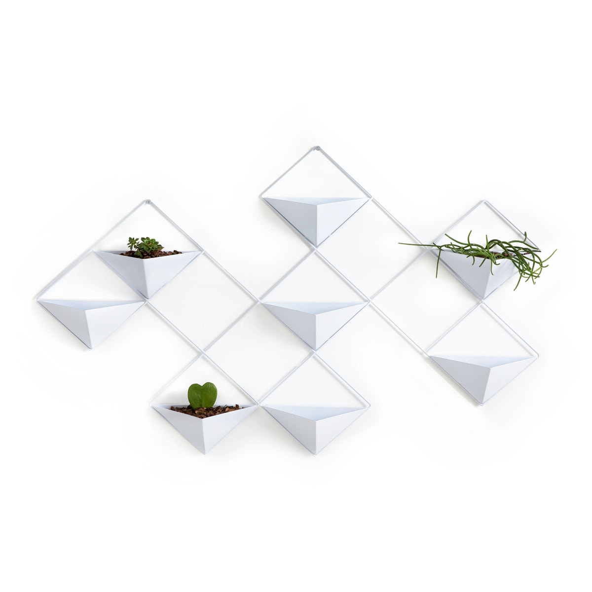 Μεταλλικό κασπό τοίχου, IKEBANA