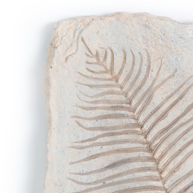 Επιτοίχιο διακοσμητικό από συνθετική ρητίνη Υ82,5 εκ., Fossilis