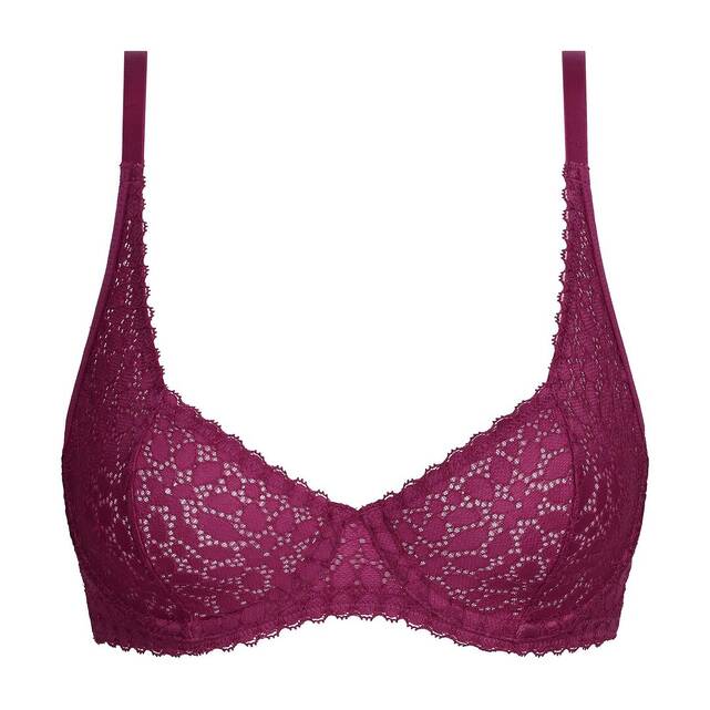 Σουτιέν από δαντέλα, Daily Dentelle