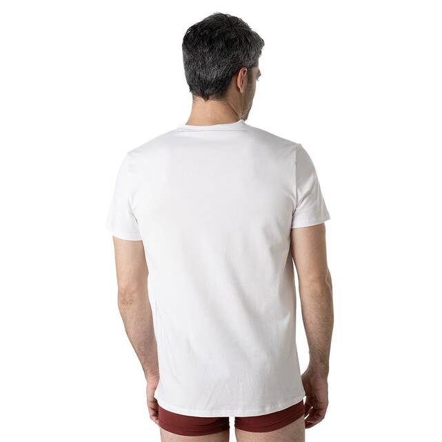 Ανδρικό T-shirt με V λαιμόκοψη, κατασκευασμένο στη Γαλλία, Eminence