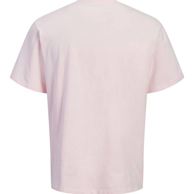 Κοντομάνικο t-shirt με στρογγυλή λαιμόκοψη Jordean
