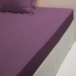 Purple/plum