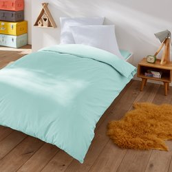 Celadon blue
