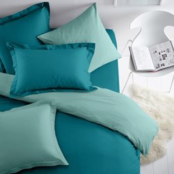 Duck / blue celadon