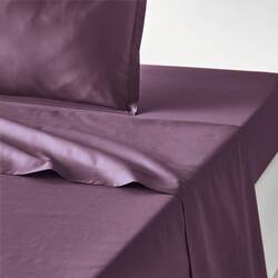 Purple/plum