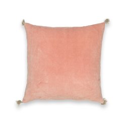 Peony pink