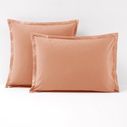 Apricot blush