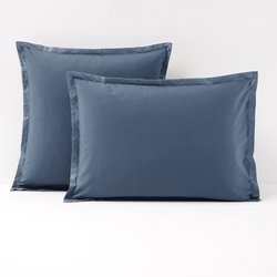 Cornflower blue