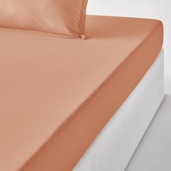 Apricot blush