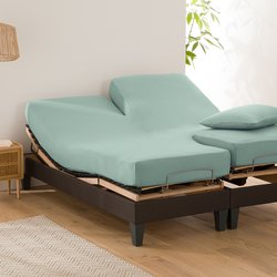 Celadon blue