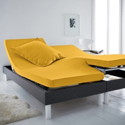Mimosa yellow