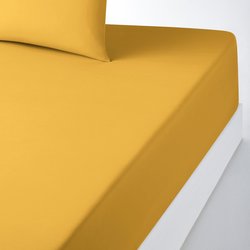 Mimosa yellow