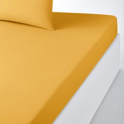 Mimosa yellow