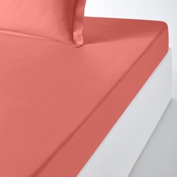 Sorbet