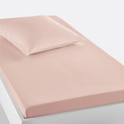 Rose petal