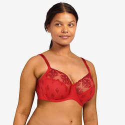 Rouge basque