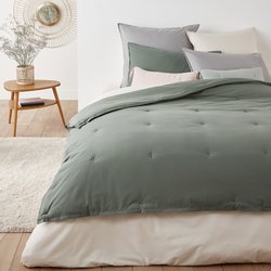 Green eucalyptus