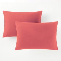 Sorbet pink