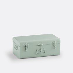 Light grey-green