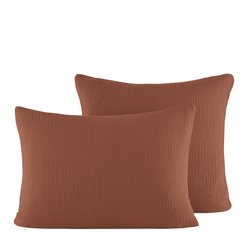 Dark ochre