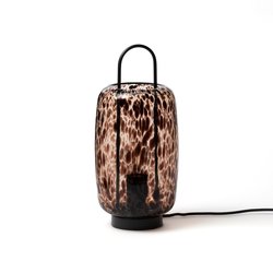 Tortoiseshell