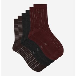 Burgundy+grey+brown