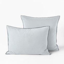 Polar gray