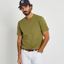 Frog green