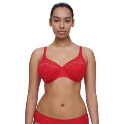 Ladybird red