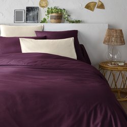 Blackcurrant