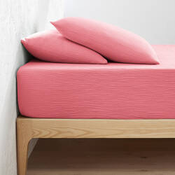 Peony pink