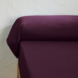 Blackcurrant