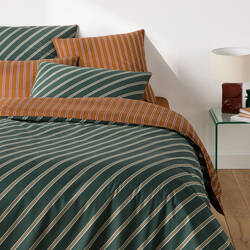 Blue/brown stripes