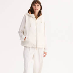 Ivory/camel
