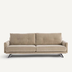 Shiitake gray