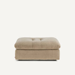 Shiitake gray
