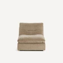 Shiitake gray