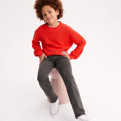 Ladybird red