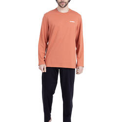 Black/terracotta