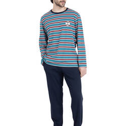 Green / blue stripe