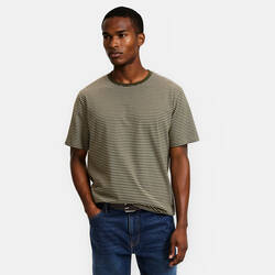 Khaki green stripes