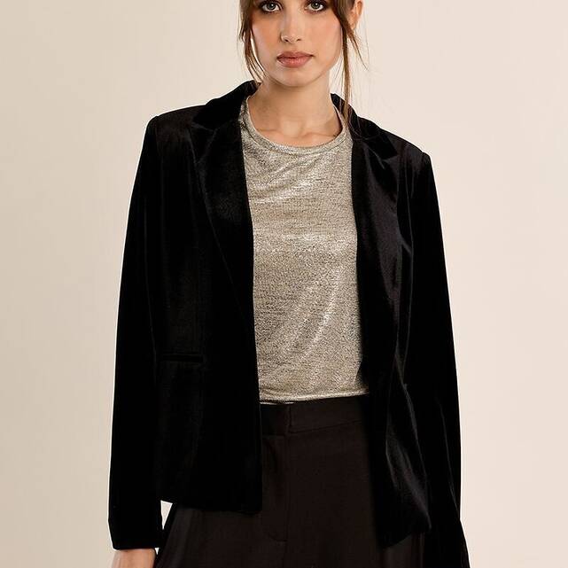 Βελούδινο blazer